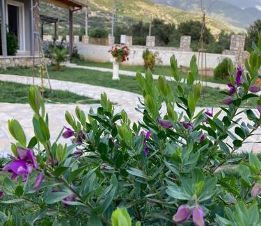 Jala Apartment | Lani luxury apartaments