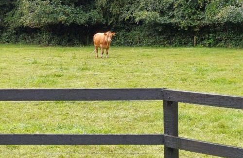 Kilcock House | Lara, Maynooth W23P9H6
