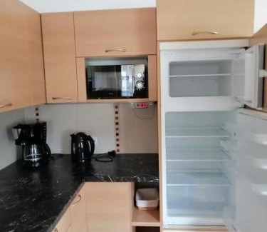 Sankt Martin am Tennengebirge Apartment | Large cozy apartment Grubweg 130 qm