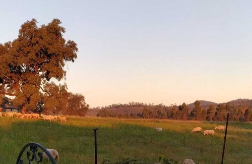 Valdeflores Cottage | Large Rural House with Private Pool in the Sierra Norte de Sevilla. 15 places