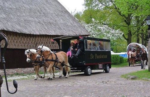 Zwiggelte House | Large group house in Drenthe with bar and playing field