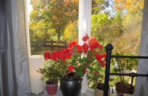 Lonashult House | Large Lake House with Boat at Lake Asnen Fast Fiber Internet 3 Bedrooms Pets OK