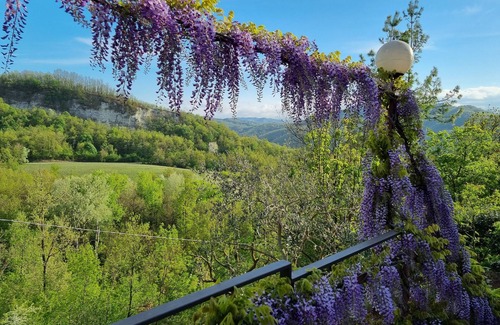 Cavatore Apartment | Large vacation apartment in Piedmont surrounded by nature