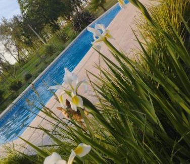 Saladillo House | Las Moras saladillo