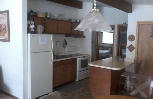 Vail Cabin | LAST MINUTE BARGAIN Vail Cabin with Spectacular Views, one of a kind views!