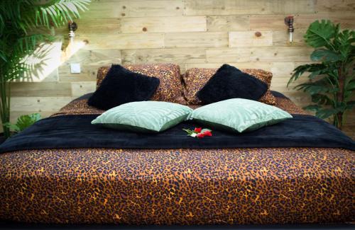 Istres Hotel | Lasuite55