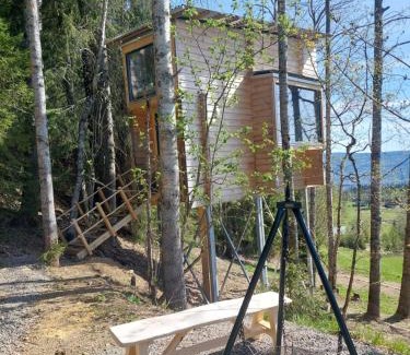 Tangen Villa | LAUV Tretopphytter