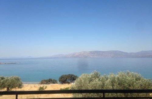 Kymi-Aliveri House | Lazy Farm