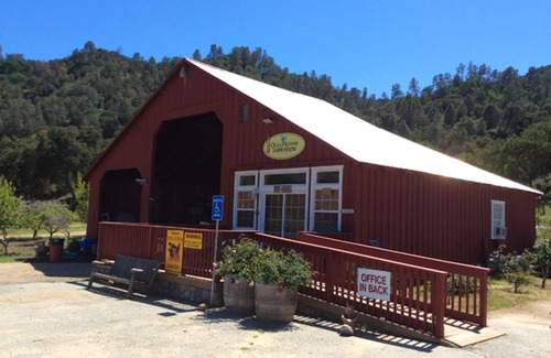 Paicines House | Lazy Hog Inn located on a Spacious Ranch - 10 Miles to Pinnacles National Park