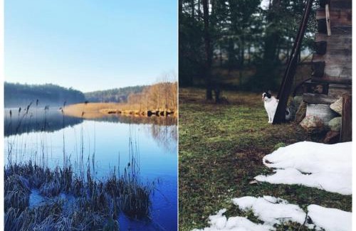 Waglikowice House | Leśne lato