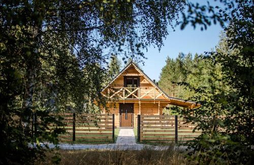 Bialowieza House | Leśny domek