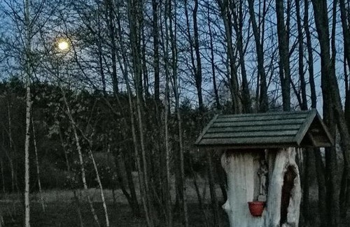 gmina Łapy House | Leśny Dwór Uhowo