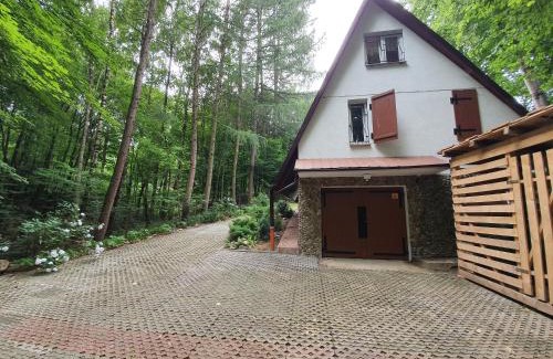 Debica Ski Chalet | Leśny Zakątek