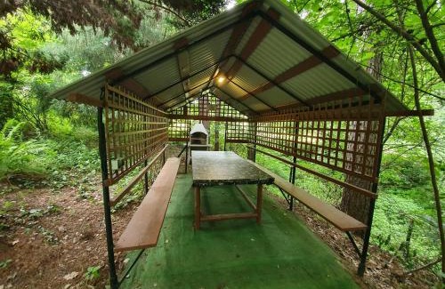 Debica Ski Chalet | Leśny Zakątek