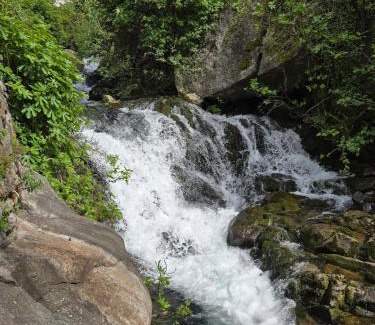 Nesso House | Le Allegre Comari di Nesso, casa e benessere