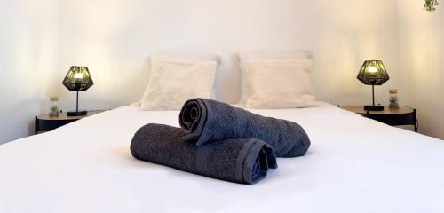 Troyes Apartment | Le Balcon des Marots - Proche centre-ville Troyes