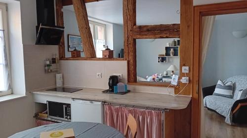 Selestat Apartment | Le Balcon