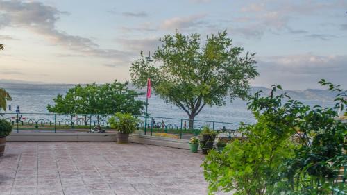 Evian-les-Bains Apartment | Le Baron