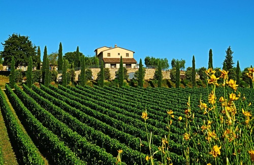 Sarteano House | Le Buche Wine Resort Villa