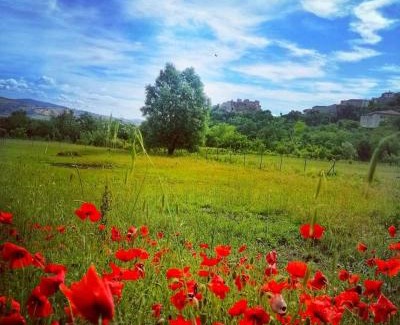Castropignano House | Le case all'arco