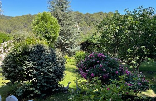 Le Beausset Bed & Breakfast | Le Clos Serein