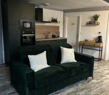 Selestat Apartment | Le Cosy Green - centre-ville