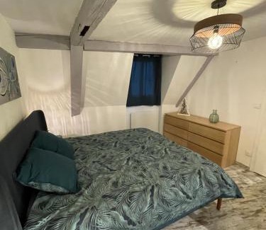 Selestat Apartment | Le Cosy Green - centre-ville