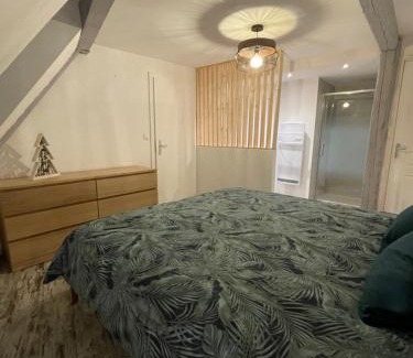 Selestat Apartment | Le Cosy Green - centre-ville
