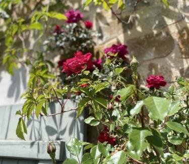 Servies-en-Val House | Le Domaine de La Tuilerie - Gite de charme en bord de riviere avec piscine