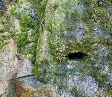 Rovon Other | Le Drevenne