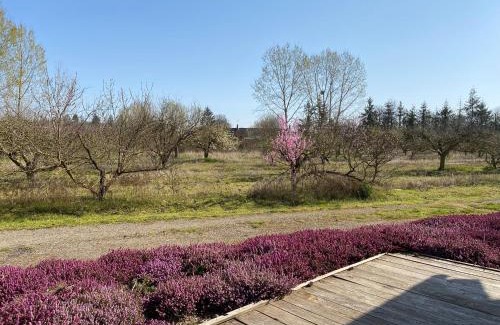 Neung-sur-Beuvron Ski Chalet | Le Gite De L'etoile Du Jour