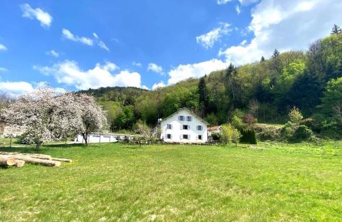 Rupt-sur-Moselle House | LE GITE DES ABEILLES