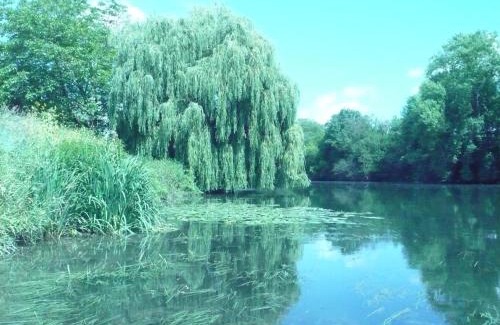 Bennecourt Bed & Breakfast | Le Havre de Bennecourt