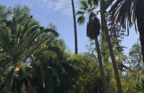 Khenafif House | Le Jardin De La Koudya
