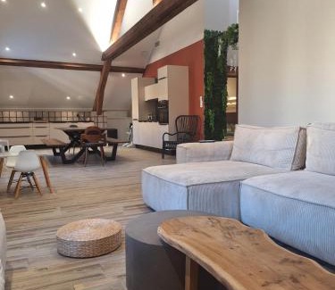 Aix-les-Bains City Center Apartment | Le Loft du Centre Ville