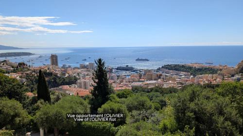 Beausoleil Apartment | Le Mas d'Angeline - Vue mer jardin commun parking voiture obligatoire 10min voiture Monaco route étroite pente raide croisement limité voir photos - Sea view shared garden parking car mandatory 10min car Monaco narrow steep road limited passing see photos