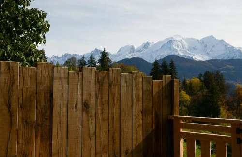 Passy Apartment | Le Mazot d'la Marmotte Studio
