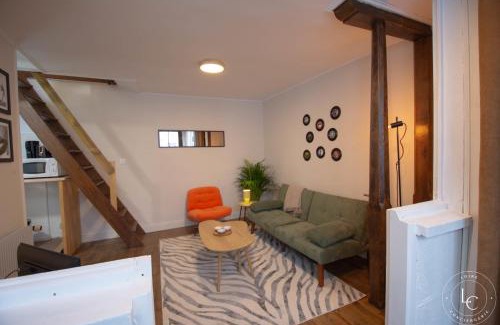 Bourgogne Apartment | Le Mercury - Hypercentre Orléans