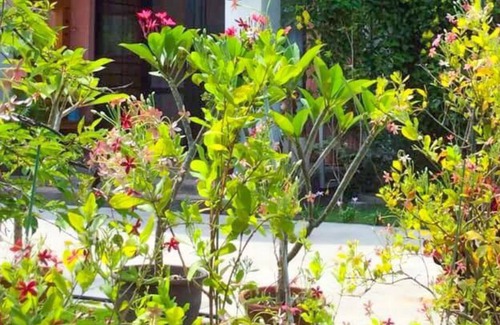 Shoufeng Bed & Breakfast | Le Miel