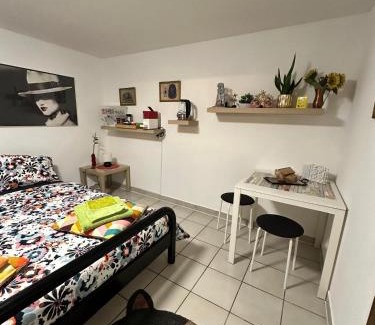 Monteceneri House | Le palme