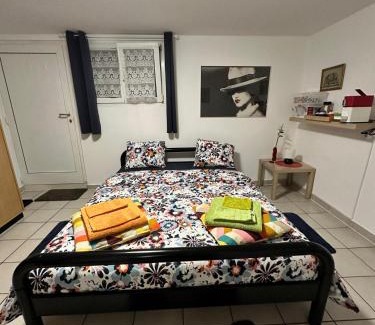 Monteceneri House | Le palme