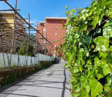 Sorrento House | Le perle della Costiera