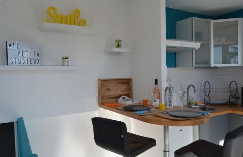 Albi Apartment | Le petit studieux - Parking - Animaux acceptés - Centre ville accessible à pied