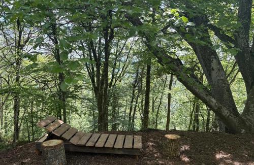 Yzeron Ski Chalet | Le refuge d'Yzeron, gite autonome en pleine forêt pour 8 personnes