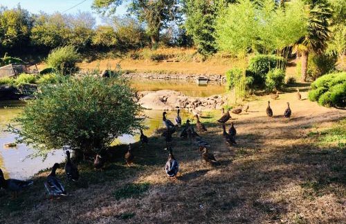 Saint-Aubin-le-Cloud Apartment | Le refuge des canards