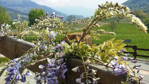 Introd Bed & Breakfast | Le Renard d'Introd