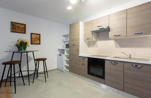 Selestat Apartment | LE RHENANUS Jacques Taurellus - appartement duplex au calme - centre ville - parking gratuit