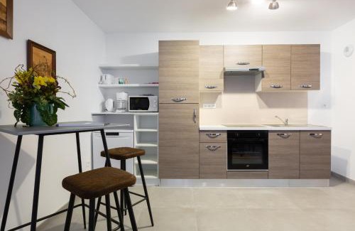 Selestat Apartment | LE RHENANUS Jacques Taurellus - appartement duplex au calme - centre ville - parking gratuit