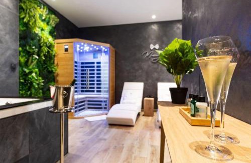 Agen Apartment | Le SPA & Cocon - Jacuzzi - Sauna - Clim - Melina&Alfred