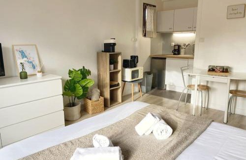 Annecy Apartment | Le Syrme 450m de la plage, balcon & parking